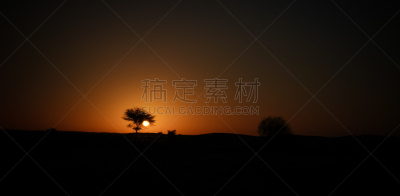 乍得,枝,金合欢树,平衡折角灯,撒哈拉沙漠,热,自然界的状态,恩内迪,恩内迪山,橙色