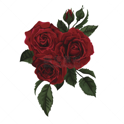 Red roses, rosebuds and leaves. Vector illustration.
