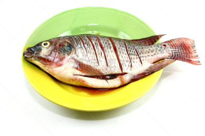 罗非鱼,自然,水平画幅,生食,清新,河流,户外,食品,肉,盘子