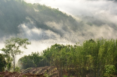 沙巴州,婆罗洲岛,雾,森林,野生动物保护区,京那峇鲁山,诗巴丹岛,哥打基纳巴卢,马来西亚东部,水平画幅