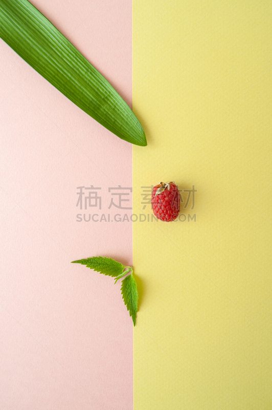 叶子,覆盆子,黄色,热带的花,彩色蜡笔,一个物体,薄荷,绿色背景,螺旋弹簧,情绪板