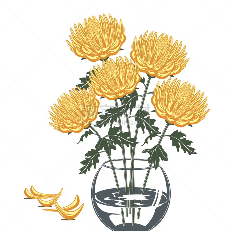 花瓶,绘画插图,玻璃,菊花,黄色,雏菊,无人,单色调,花束,花蕾