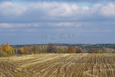 自然,秋天,玉米,田地,十月,天空,草地,水平画幅,地形,蓝色