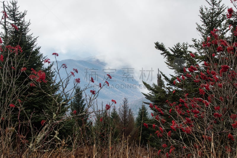 clingman's dome,天空,北卡罗来纳,水平画幅,无人,田纳西,户外,草,阿巴拉契亚山脉,山