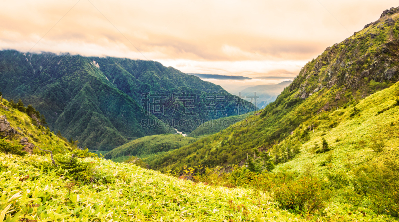 山,烧岳,中部山岳国立公园,飞驒山脉,竹子叶,登山杖,留白,休闲活动,水平画幅,枝繁叶茂