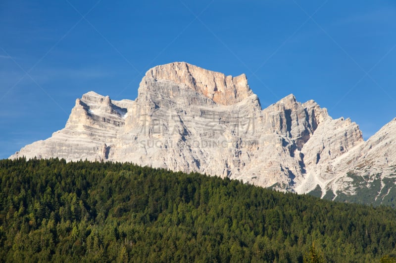 裴尔莫山,落叶松,峭壁,岩面,蒂罗尔州,多洛米蒂山脉,美,水平画幅,山,旅行者