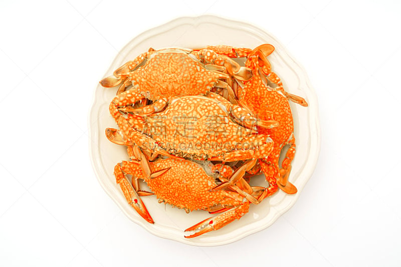 蒸菜,螃蟹,白色背景,留白,煮食,水平画幅,开胃品,海产,特写,肉