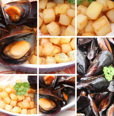 贻贝,垂直画幅,精制土豆,法式食品,海产,成分,甲壳动物,炸薯条,快餐店,海蚌