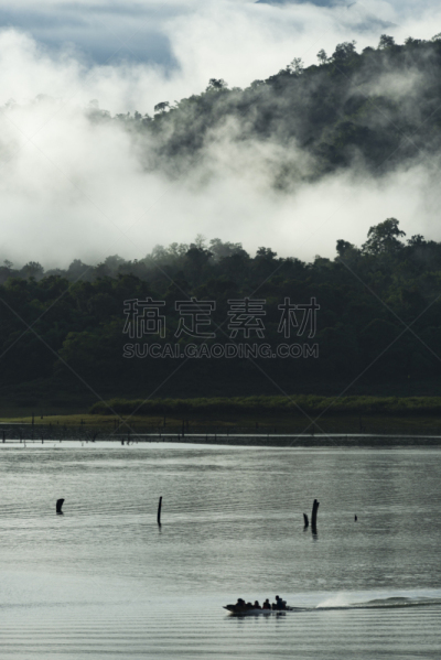 泰国,田地,热带雨林,风景,垂直画幅,天空,美,无人,丁字裤,夏天