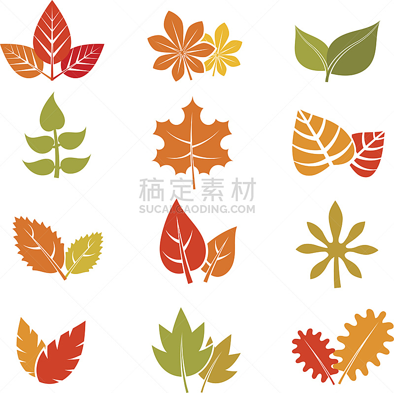 叶子,矢量,秋天,平坦的,计算机图标,美,形状,无人,表格,绘画插图