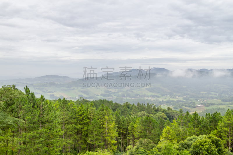 高卓牛仔,地形,山,莫罗古堡,南里奥格兰德州,自然,南美,松树,水平画幅,宁静