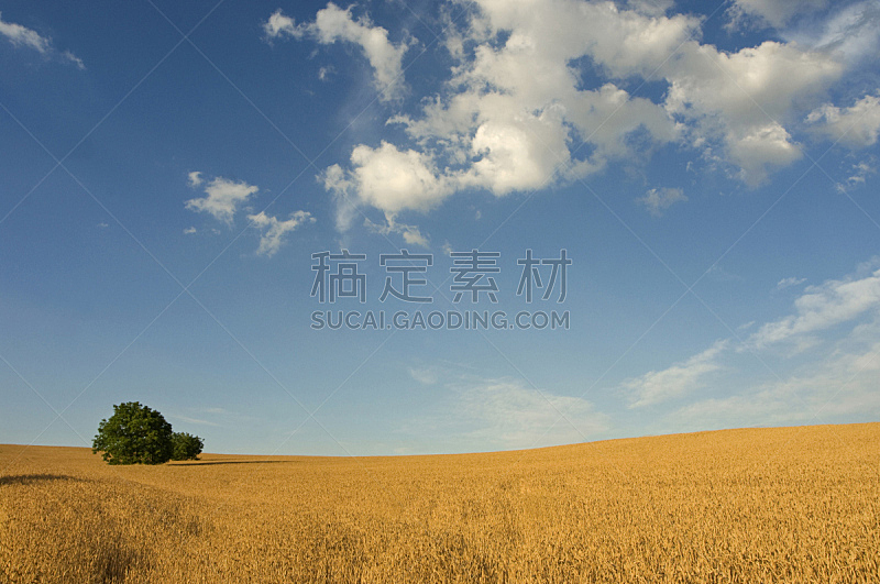 地形,农作物,天空,水平画幅,景观设计,无人,蓝色,户外,陆地,黄色