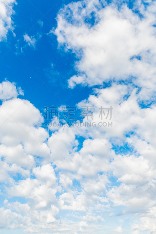 山,小路,烧岳,中部山岳国立公园,飞驒山脉,竹子叶,垂直画幅,枝繁叶茂,健康,户外