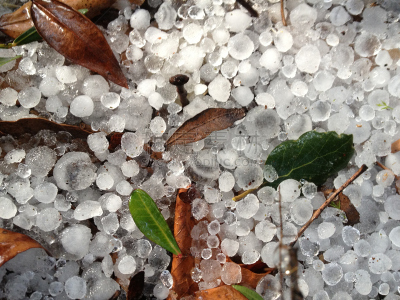粒子,腰部以下,特写,式样,暴风雨,寒冷,水平画幅,秋天,雪,户外