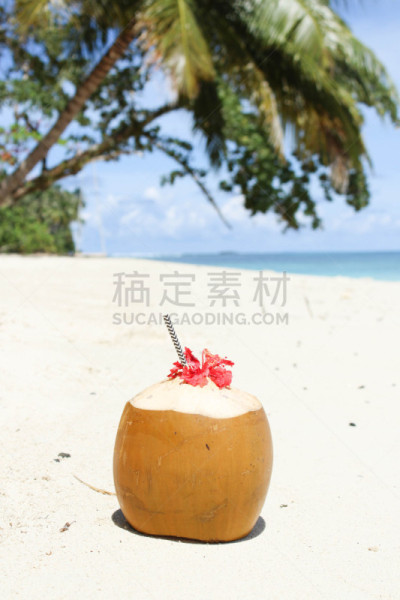 椰子,海滩,垂直画幅,美,沙子,椰子树,阴影,户外,饮料,棕榈树