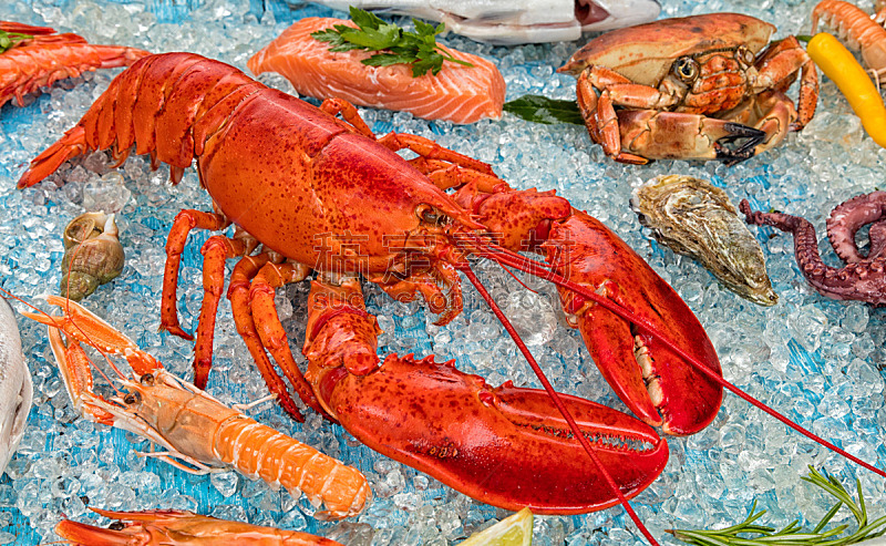 龙虾,海产,完整,碎冰,上菜,蛤蚌,碾碎了的,明虾,螃蟹,煮食