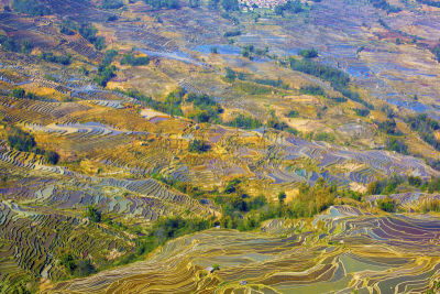 元阳,梯田,云南省,中国,露台别墅,哈尼族,雕塑家,锥形帽,建筑露台,昆明