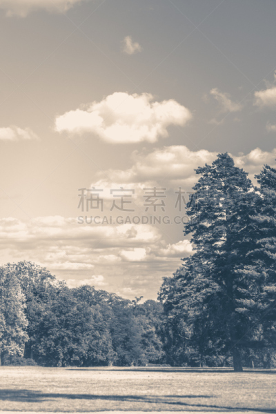 过时的,田地,夏天,天空,自然,槽隙,烛台电话,老爷车,垂直画幅,留白