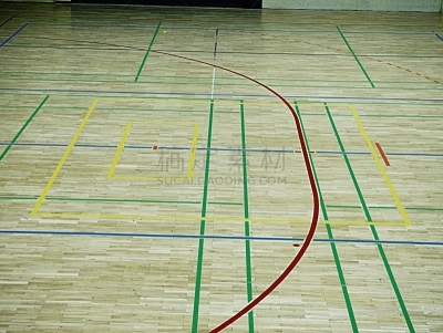 学校体育馆,硬木地板,球场,条纹,镶花地板,硬木,游乐场,休闲活动,疤,古老的