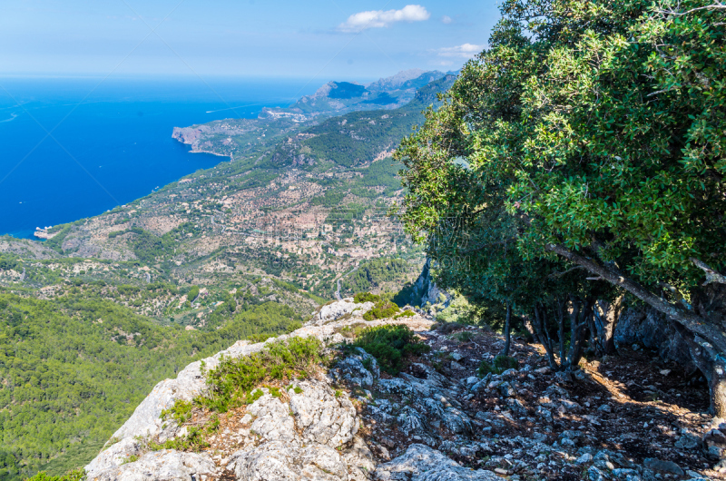 sierra de tramuntana,巴利阿里群岛,全景,西班牙,避暑圣地,马略卡,城镇景观,天空,夏天,都市风景