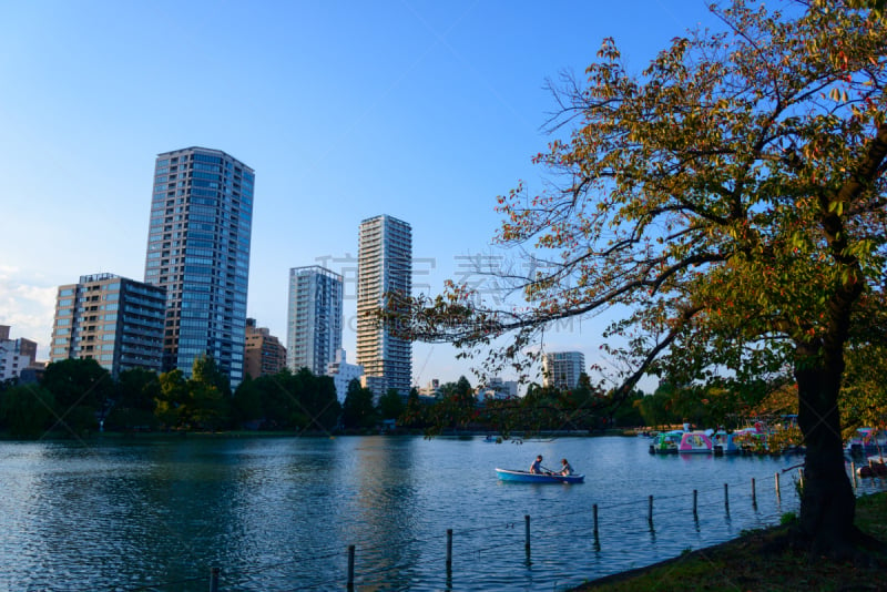 shinobazu pond,天空,美,里山,水平画幅,旅行者,户外,非凡的,四季,著名景点