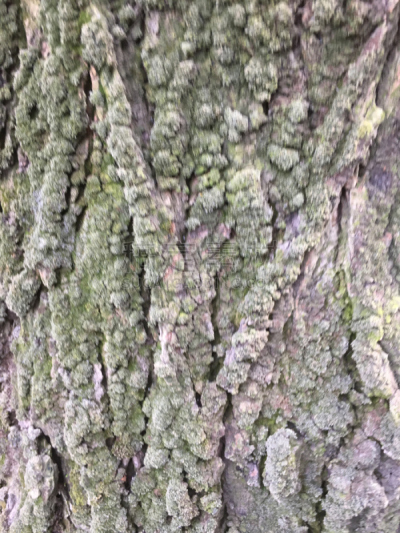 桌布,木制,个性丑男,小组讨论,女佣,垂直画幅,留白,建筑设备,古老的