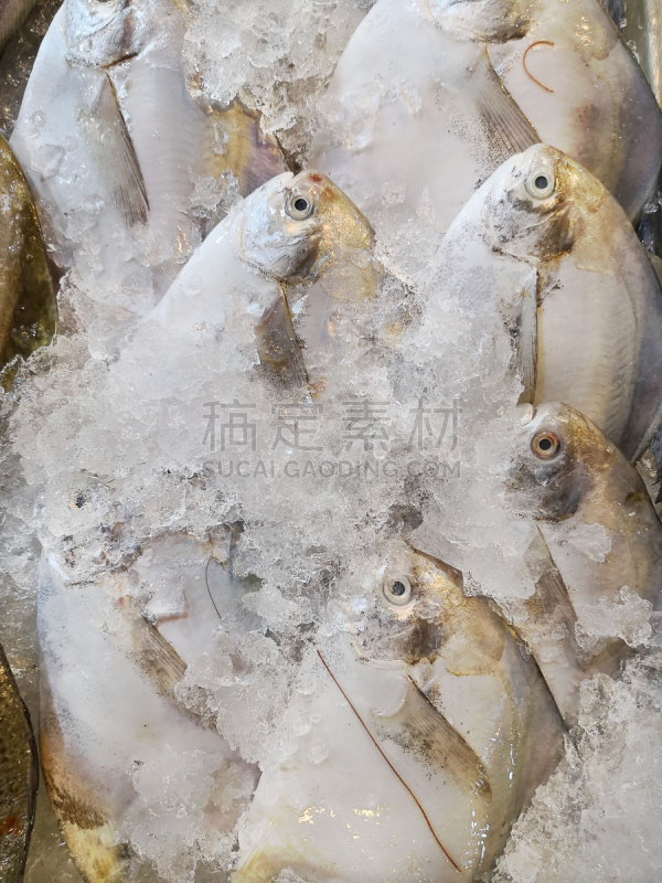 生食,海产,组图,垂直画幅,新加坡,银色,无人,膳食,商店,特写