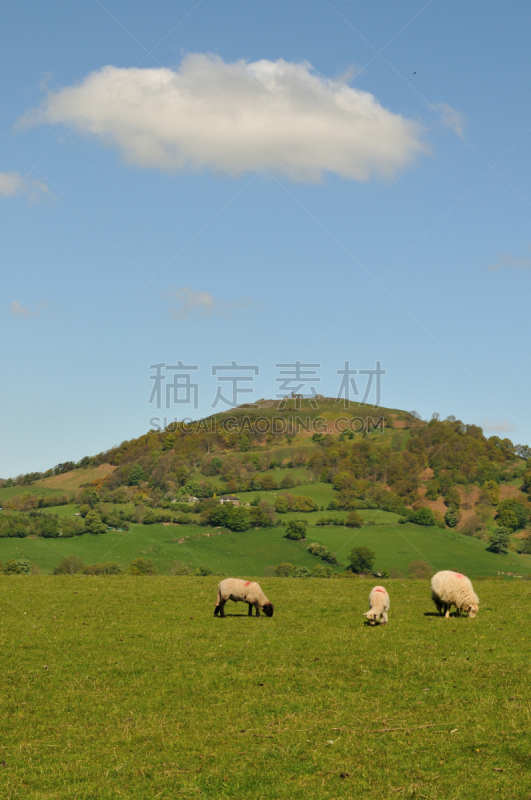 羊羔,城堡,兰戈伦,登比郡,北威尔士,垂直画幅,天空,留白,山,无人