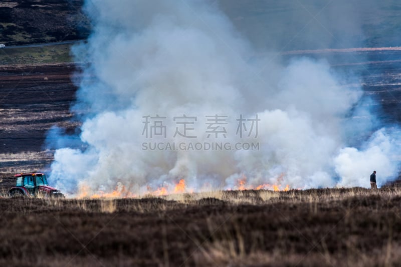 石南花,自然,天空,金雀花,停泊的,旷野,摩尔人风格,水平画幅,地形,山