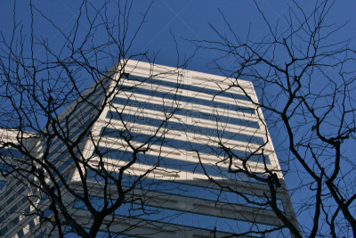 秃树,建筑外部,都市风光,怪异,威尔夏大道,办公园区,办公室,水平画幅,工作场所,无人