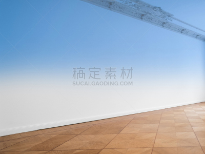 留白,空的,住宅房间,背景,墙,纽帕尔兹,1900年至1909年,镶花地板,天花板