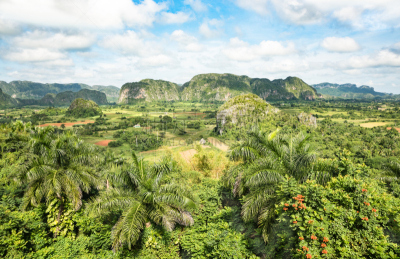 拉丁美洲,世界遗产,全景,山谷沟,看风景,古巴,山谷,加勒比海地区,植物群,旅行