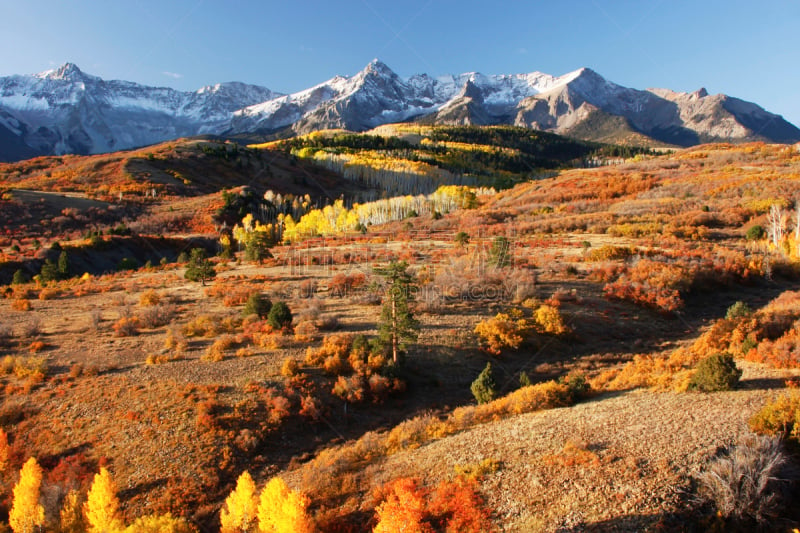 uncompahgre national forest,科罗拉多州,达拉斯市,海登山,斯奈佛尔斯山脉,白杨类,天空,水平画幅,雪,无人