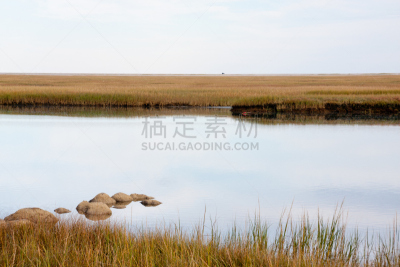 沼泽,东汉姆,海滩车,柯德角,马萨诸塞,秋天,图像,草,宁静,无人
