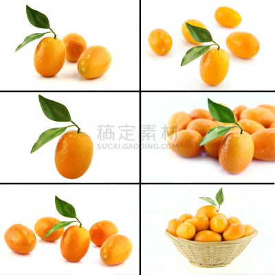 有机食品,概念,健康食物,留白,水平画幅,葫芦,素食,配方,维生素,夏天