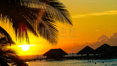 早晨,夏威夷大岛,曙暮光,古巴克里尼达,棕榈树,海滩,热带气候,黎明,安提瓜,波拉波拉