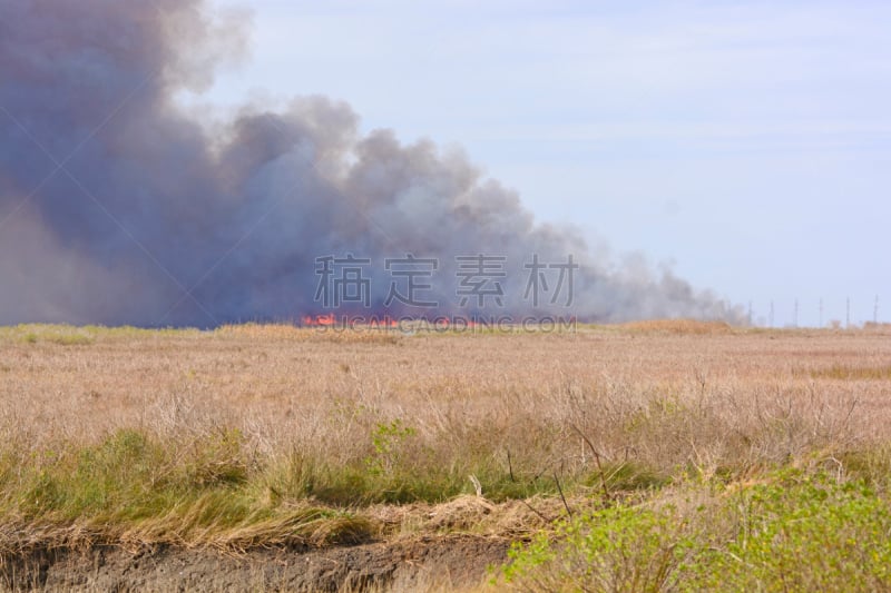 沼泽,火焰,森林火灾,水,水平画幅,户外,烟,草类,环境,湿地