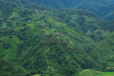 田地,越南,地形,风景,稻,梯田,非凡的,北,萨帕,水平画幅