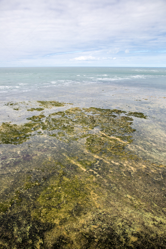 鲁瓦扬,河口,海滩,法国,地形,船,加伦河,垂直画幅,水,天空