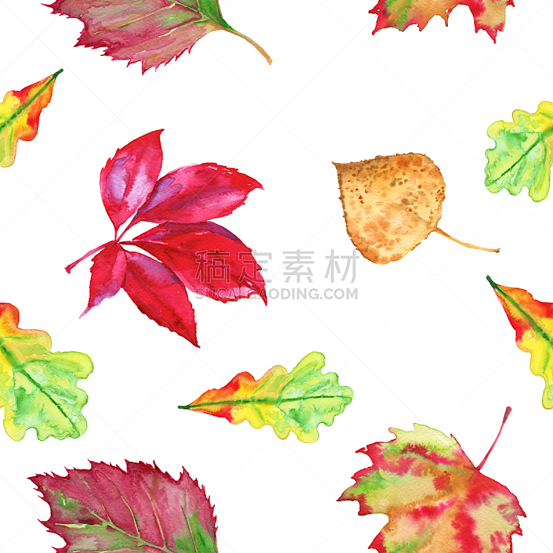 秋天,绘画插图,四方连续纹样,叶子,背景,水彩画,式样,艺术,无人,抽象