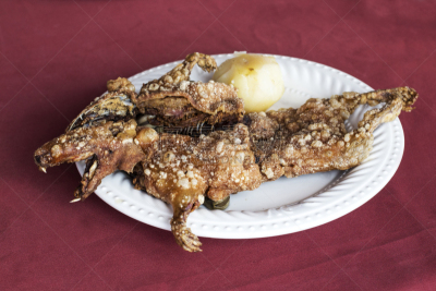格子烤肉,豚鼠,秘鲁,主菜盘,阿雷基帕城,马铃薯,安地斯山脉,库斯科市,水平画幅,阿雷基帕地区