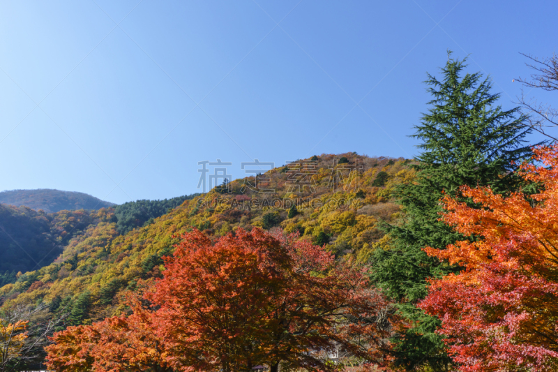 山,叶子,秋天,天空,美,里山,休闲活动,水平画幅,户外,植物