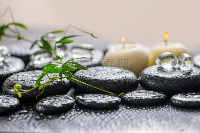 卷须,嫩枝,绿色,spa美容,自然美,概念,低温生物学,西番莲,水平画幅,无人