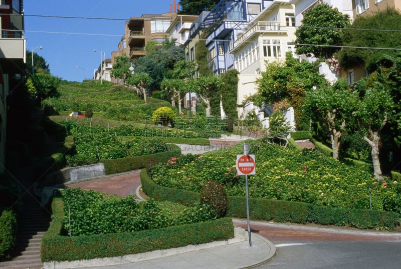 伦巴底街,旧金山,植物,美国,水平画幅,无人,carole lombard,街道,加利福尼亚,摄影