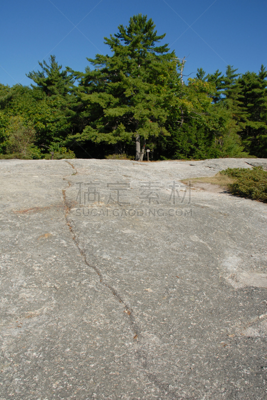 缅因州,山,帕瓦纳,北美白松,自然,垂直画幅,州立公园,公园,松树,悬崖