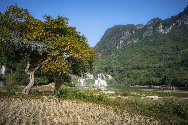 越南,农场,瀑布,北,栽培植物,查济,刘海,干热气候,陡峭,农业