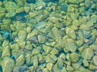 浮萍,石头,在之间,水边,石质的湖,新船揭幕式,萨斯喀彻温省,在底端,滑的,浅的