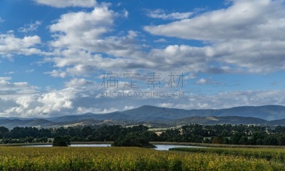 葡萄园,澳大利亚,亚拉谷,葡萄酒,天空,古典式,夏天,草,风景,自然界的状态