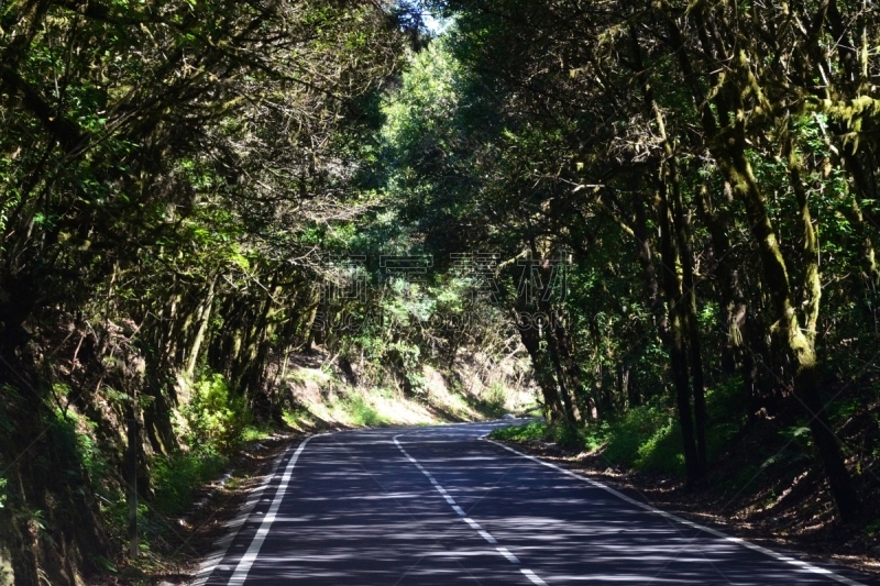 Carretera a través del Garajonay National Park, La Gomera