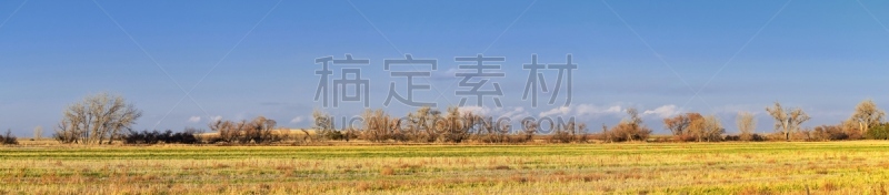 小路,科罗拉多州,布鲁姆菲尔德,冬天,美国,地形,看风景,野生动物,平原,步行